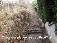 Visite de terrain du samedi 20 décembre 2014