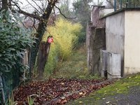 Visite de terrain du samedi 20 décembre 2014