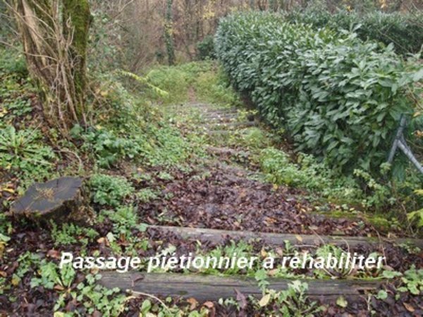 Visite de terrain du samedi 20 décembre 2014